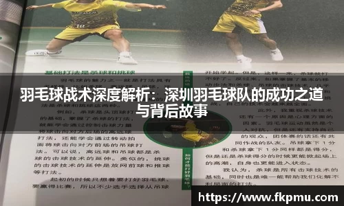羽毛球战术深度解析：深圳羽毛球队的成功之道与背后故事