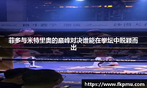 菲多与米特里奥的巅峰对决谁能在拳坛中脱颖而出